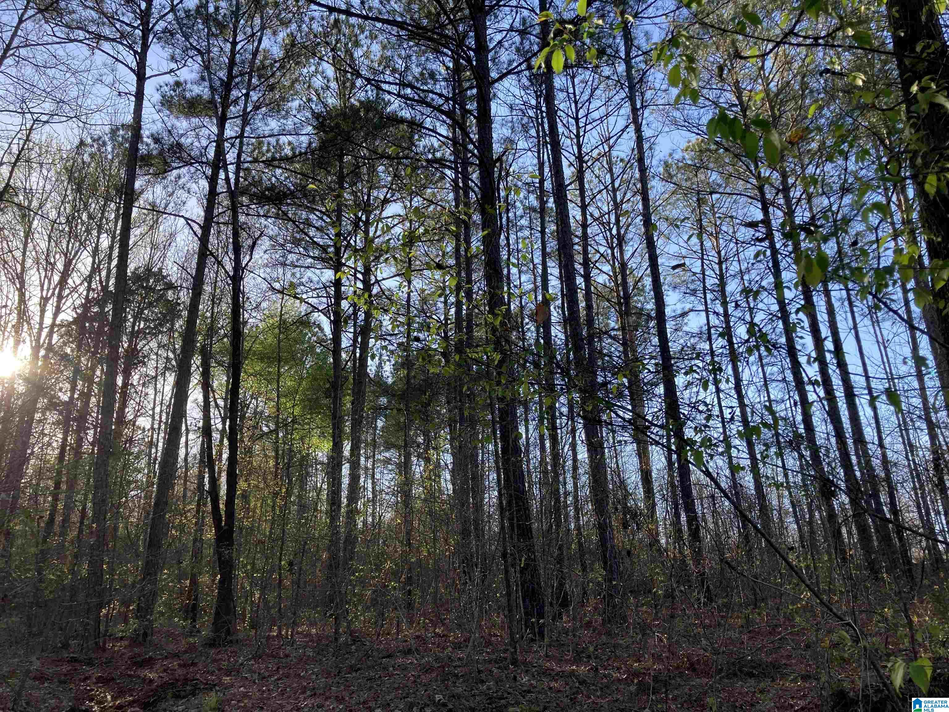 0 Jackson Trace Road, Unit 4 1 Talladega, AL 35160 - Photo 15 of 27