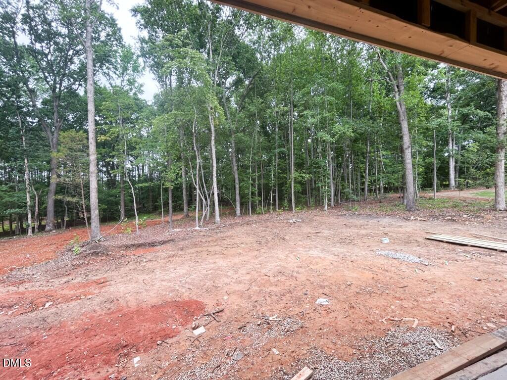 5904 Leone Pride Circle Raleigh, NC 27603 - Photo 10 of 19
