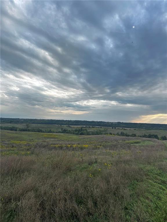 Tbd Northeast Cook Road Weatherby, MO 64497 - Photo 7 of 9