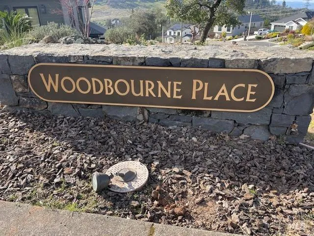 a view of a dry yard