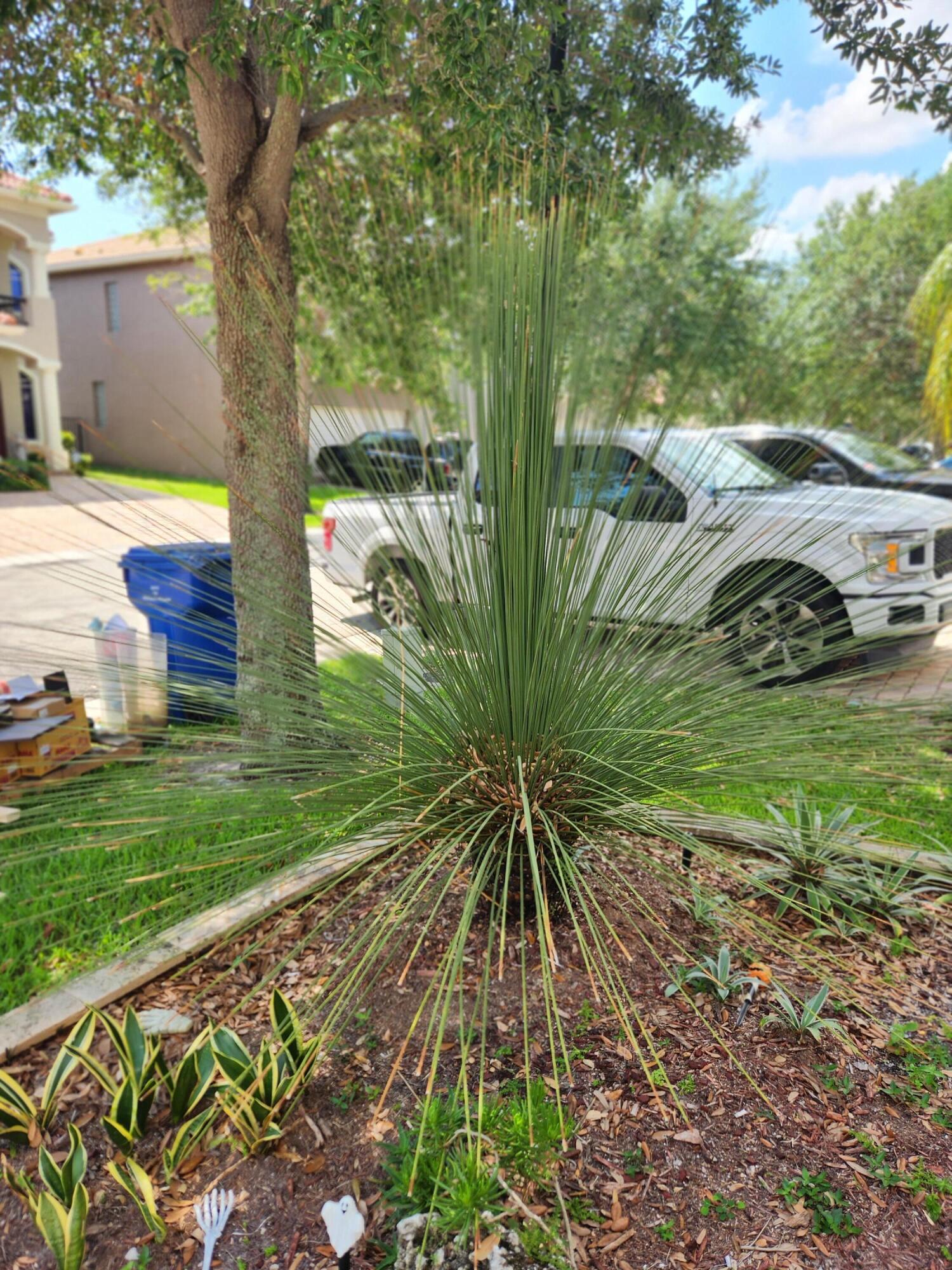 1065 Center Stone Lane Riviera Beach, FL 33404 - Photo 6 of 7 20230510_110657