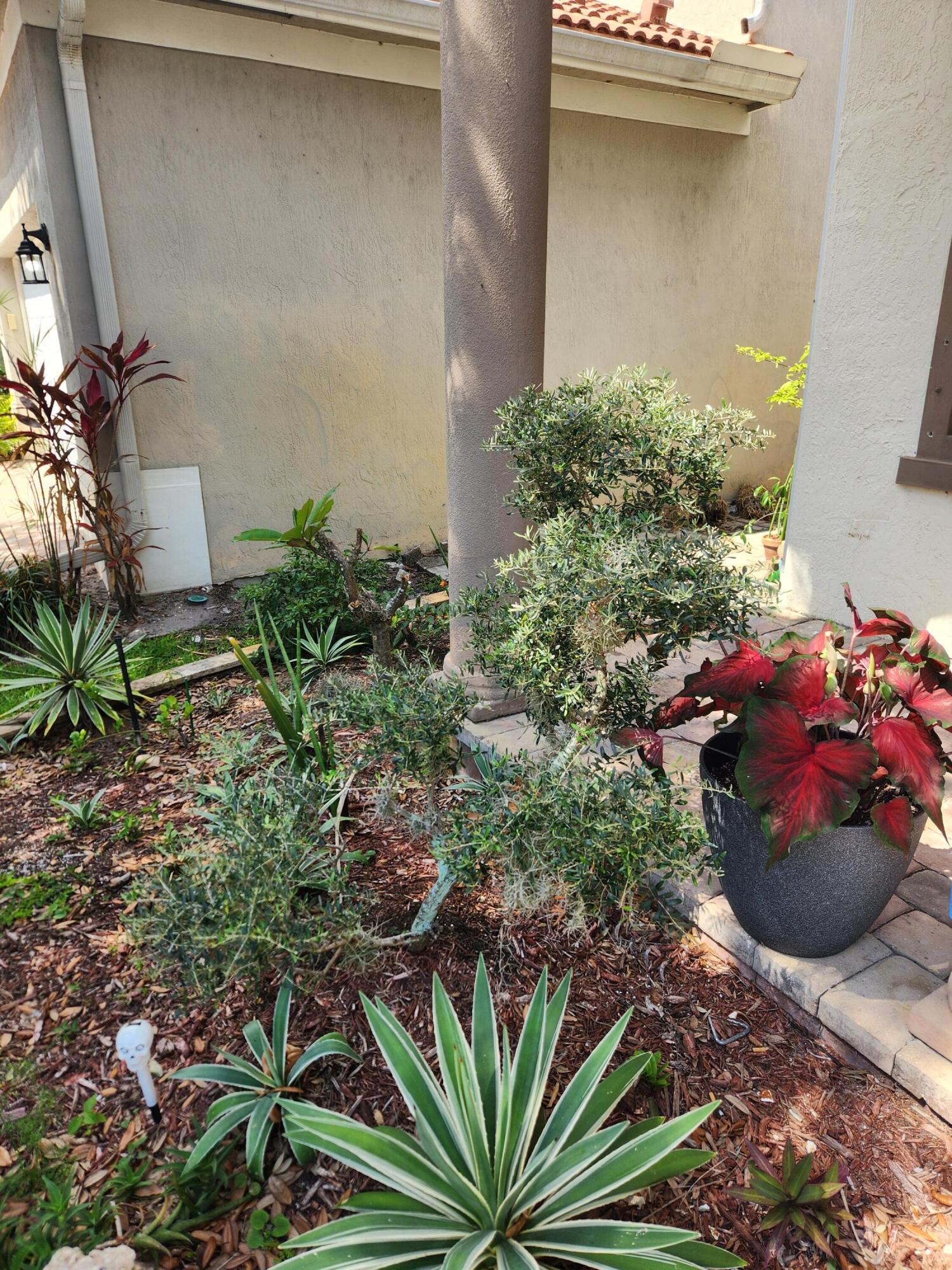 1065 Center Stone Lane Riviera Beach, FL 33404 - Photo 7 of 7 20230510_110659