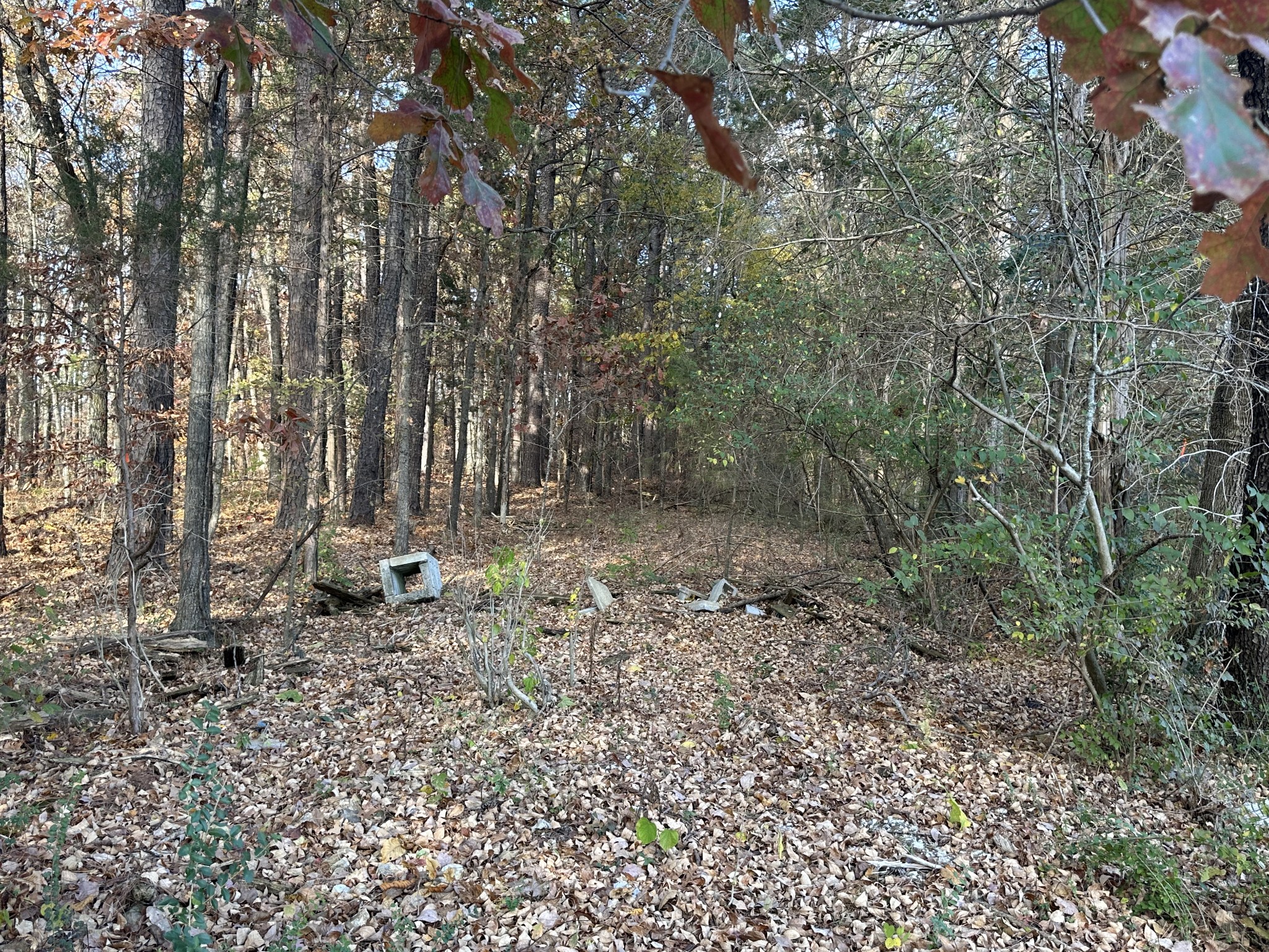 Gallery Image 6