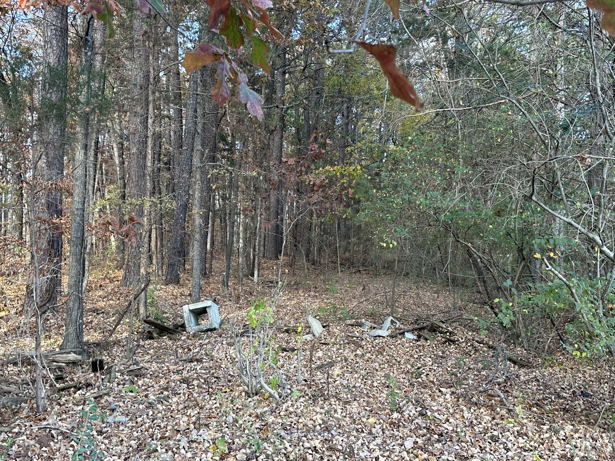 Gallery Image 7
