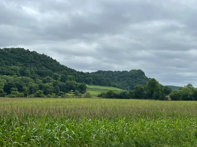 $683,300 | 131 Highway 131, Viola, WI 54664