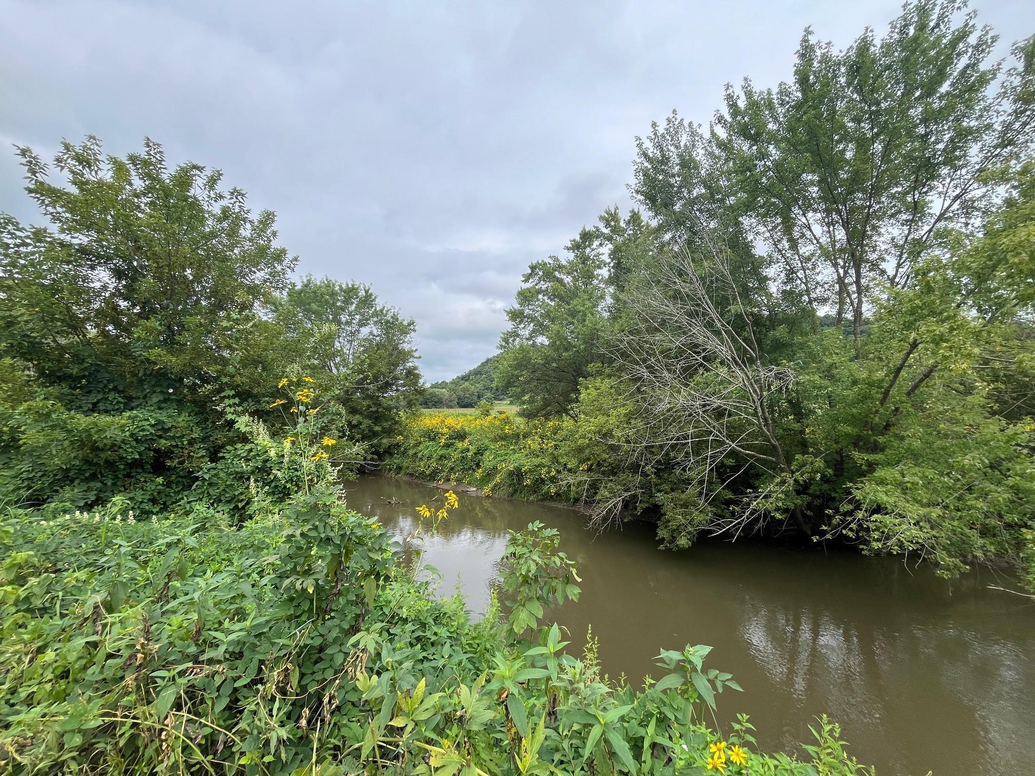 131 Highway 131 Viola, WI 54664 - Photo 12 of 17