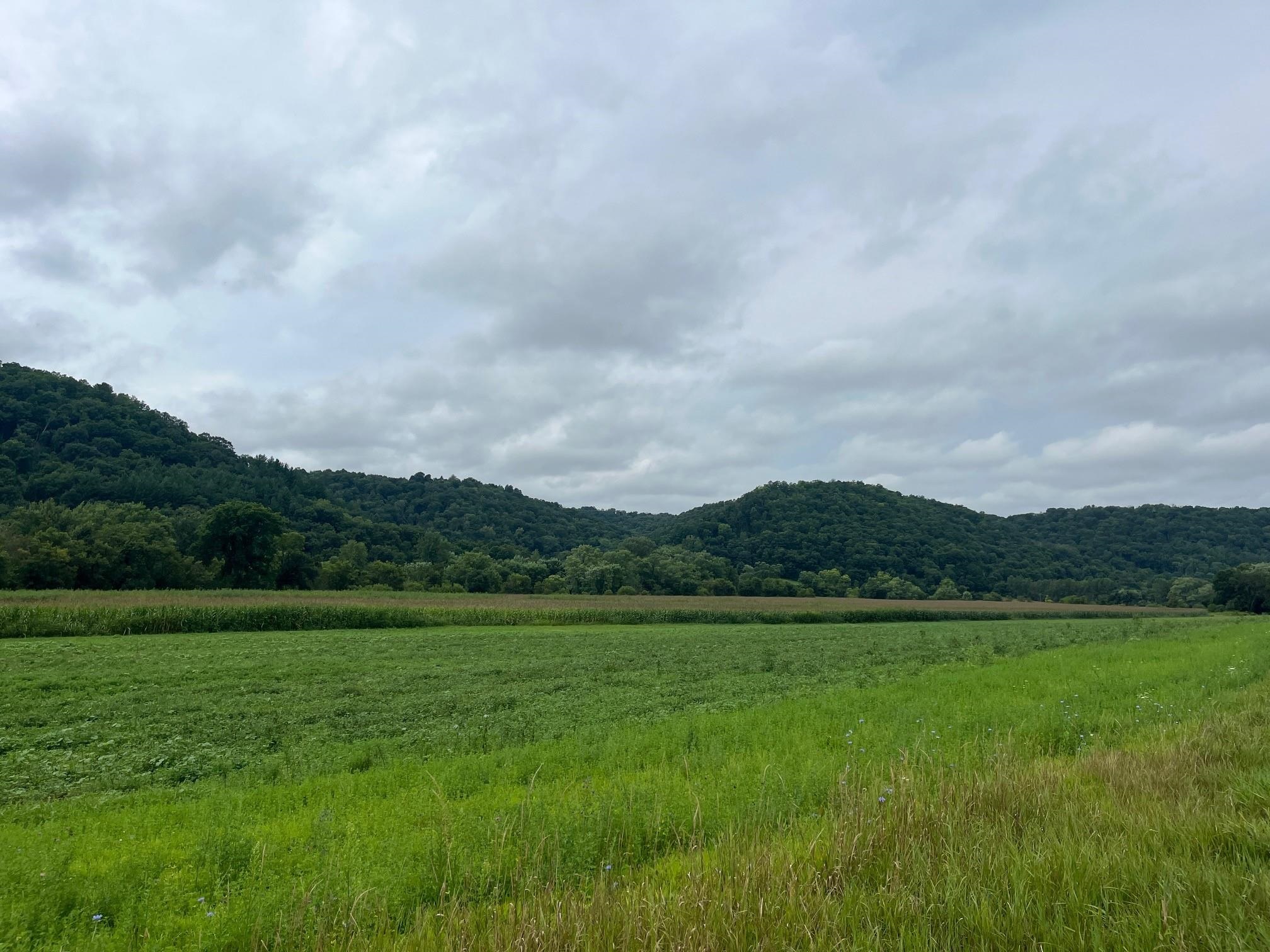 131 Highway 131 Viola, WI 54664 - Photo 14 of 17