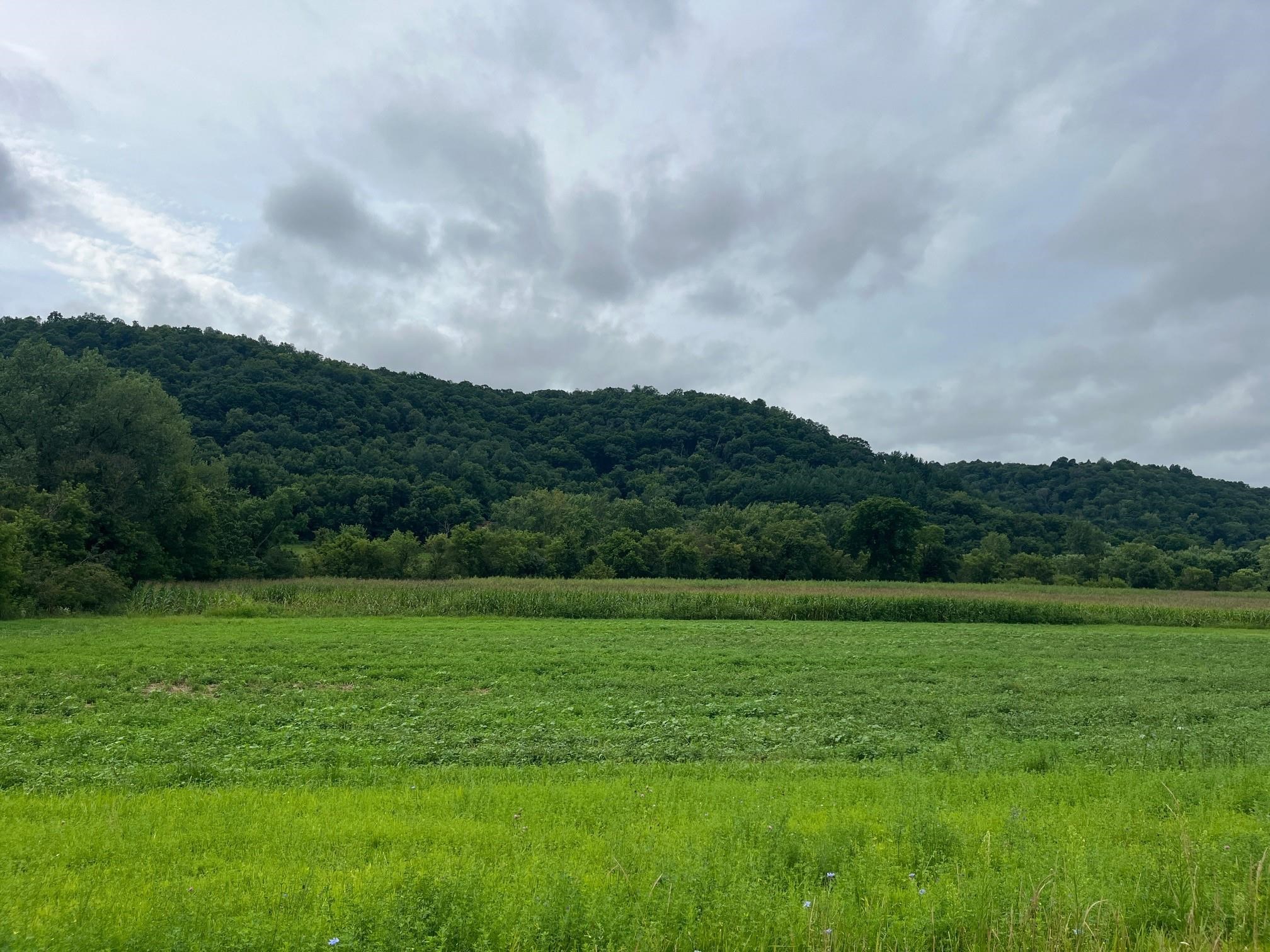 131 Highway 131 Viola, WI 54664 - Photo 15 of 17