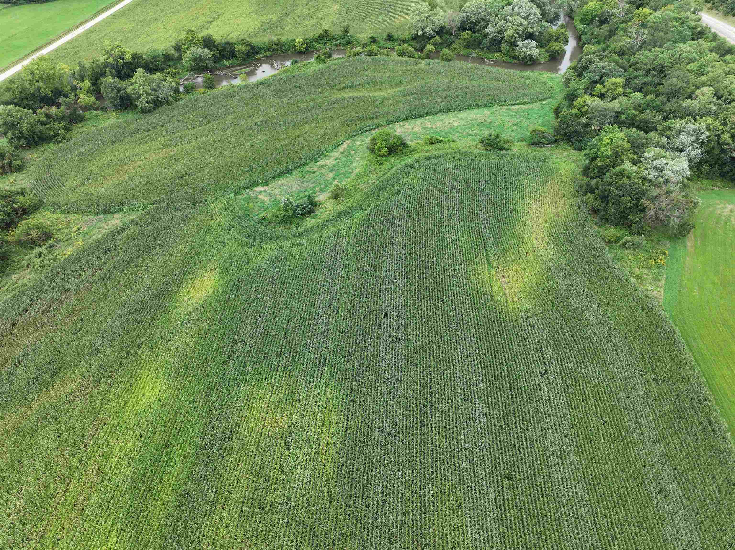 131 Highway 131 Viola, WI 54664 - Photo 9 of 17