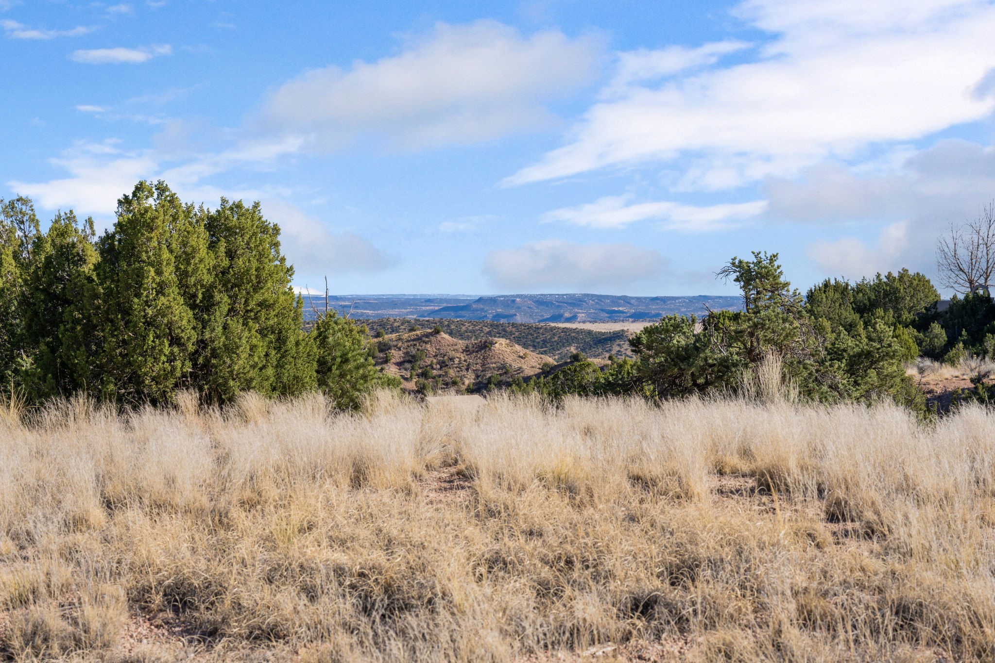 19 Del Charro Road Lamy, NM 87540 - Photo 7 of 15