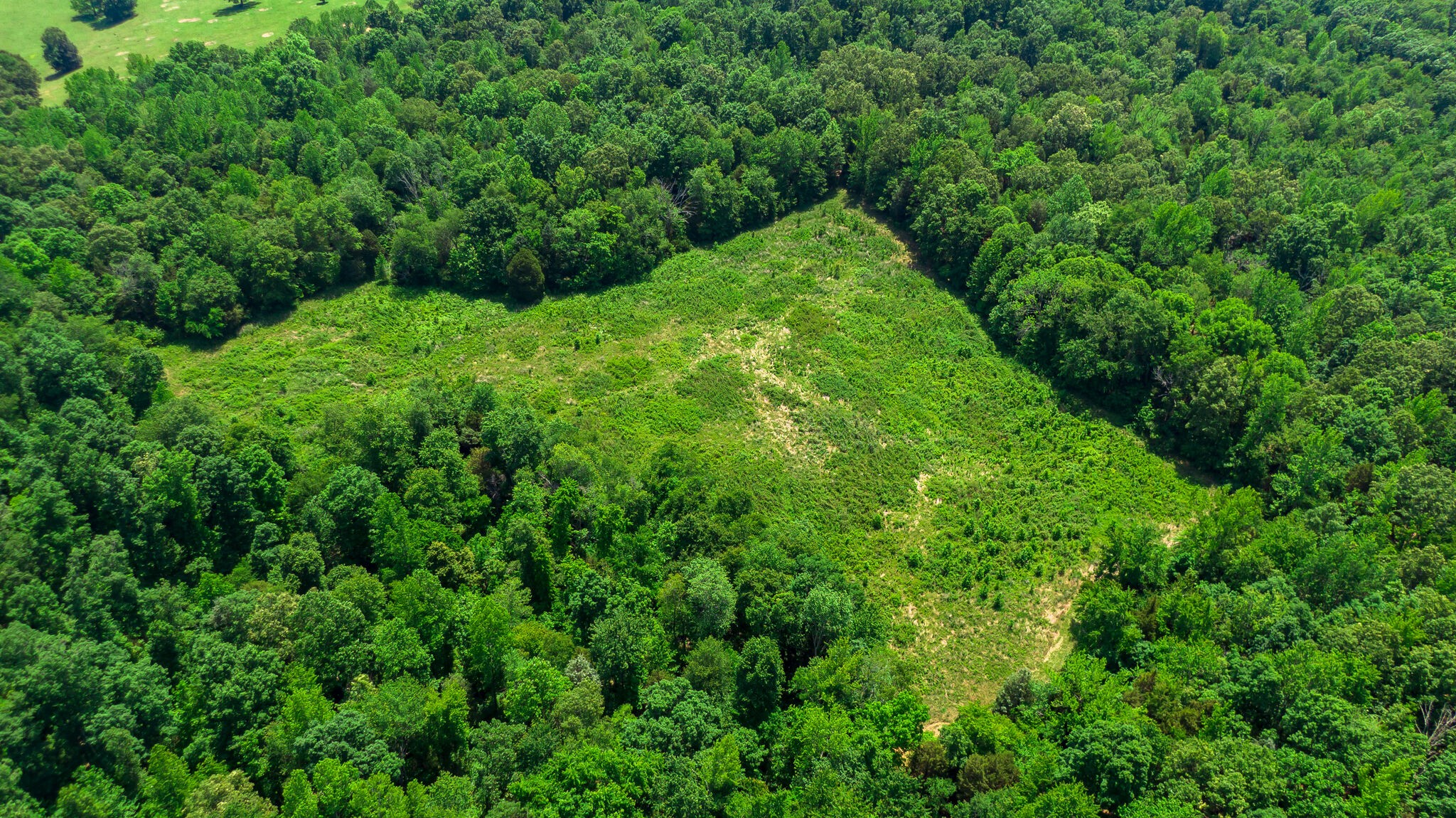 a view of a green field with lots of bushes