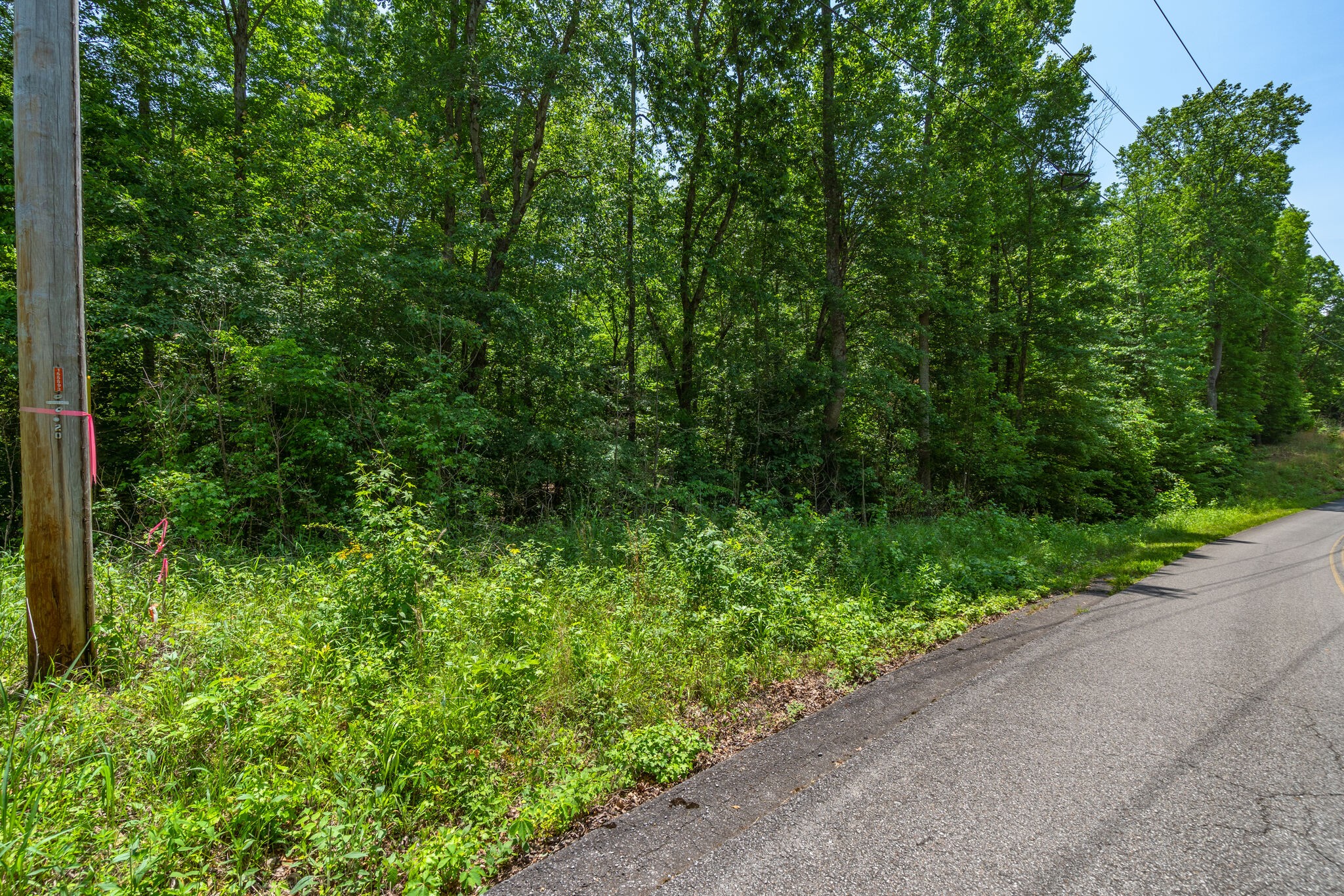 0 Foster Road Cumberland Furnace, TN 37051 - Photo 11 of 30 a view of a garden