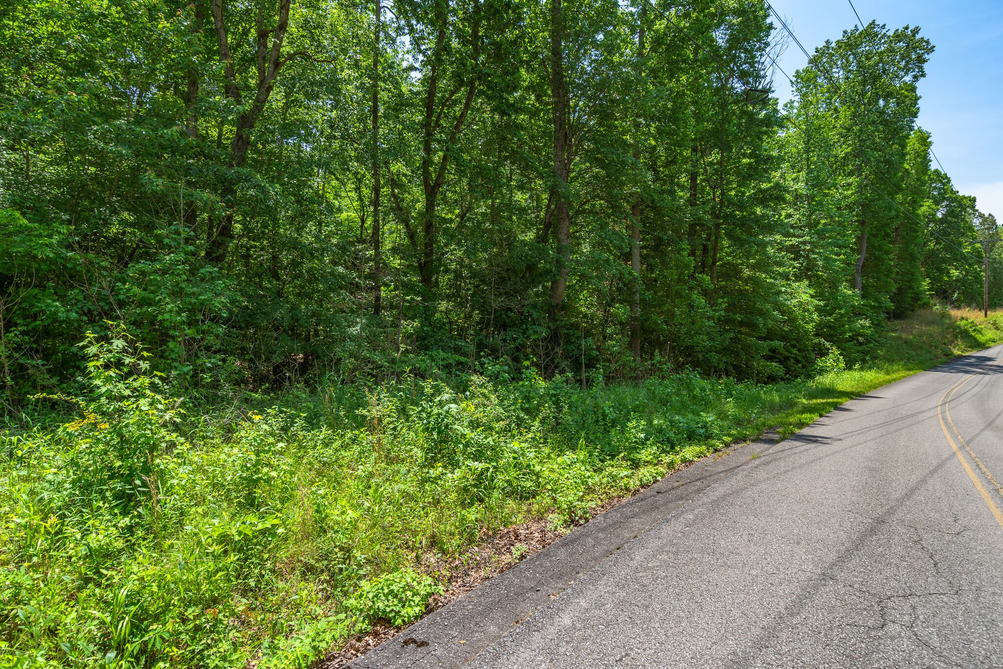 0 Foster Road Cumberland Furnace, TN 37051 - Photo 12 of 30 a view of a garden with plants