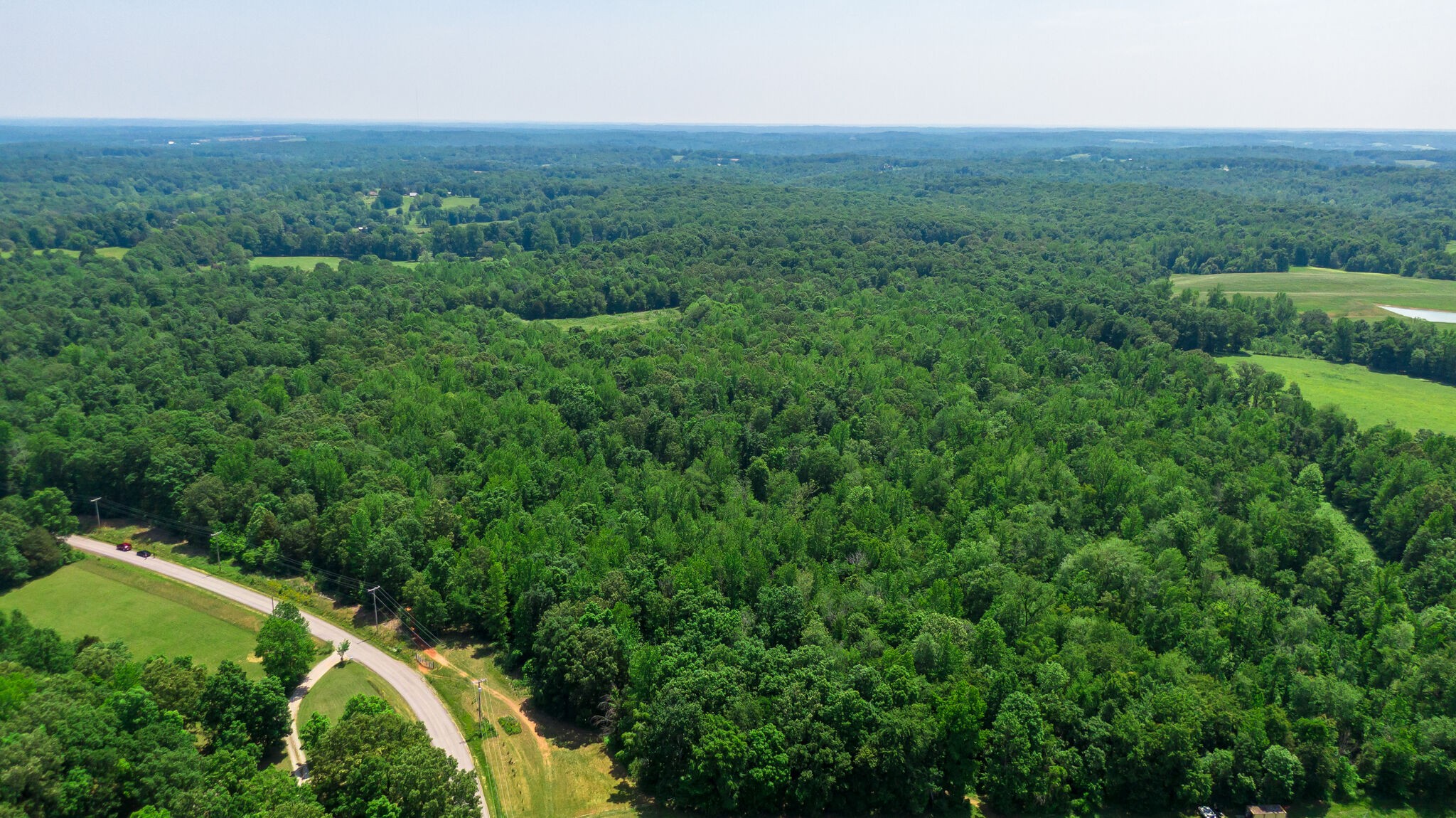 0 Foster Road Cumberland Furnace, TN 37051 - Photo 14 of 30 an aerial view of green landscape with trees