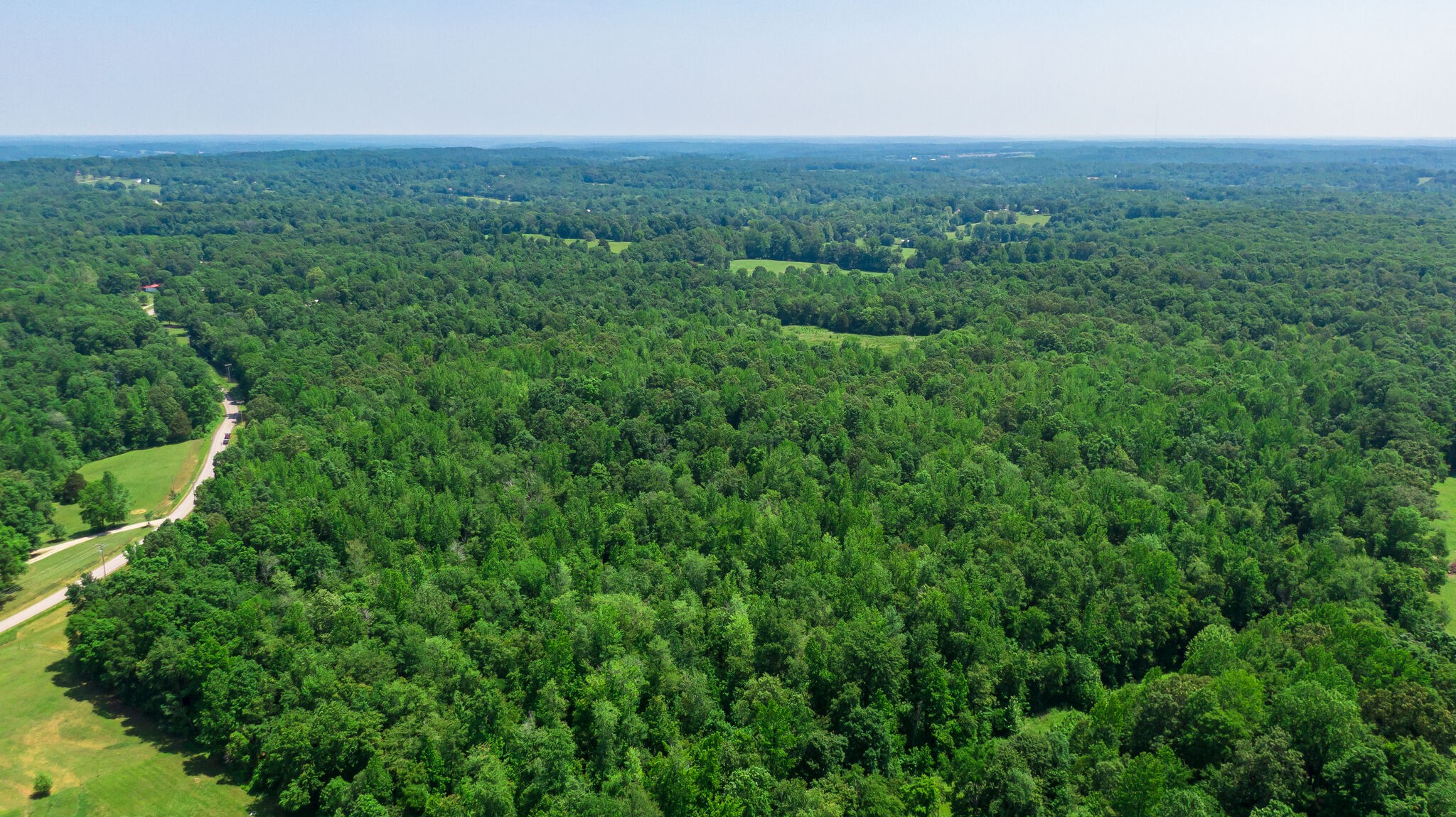 0 Foster Road Cumberland Furnace, TN 37051 - Photo 15 of 30 an aerial view of houses covered in trees
