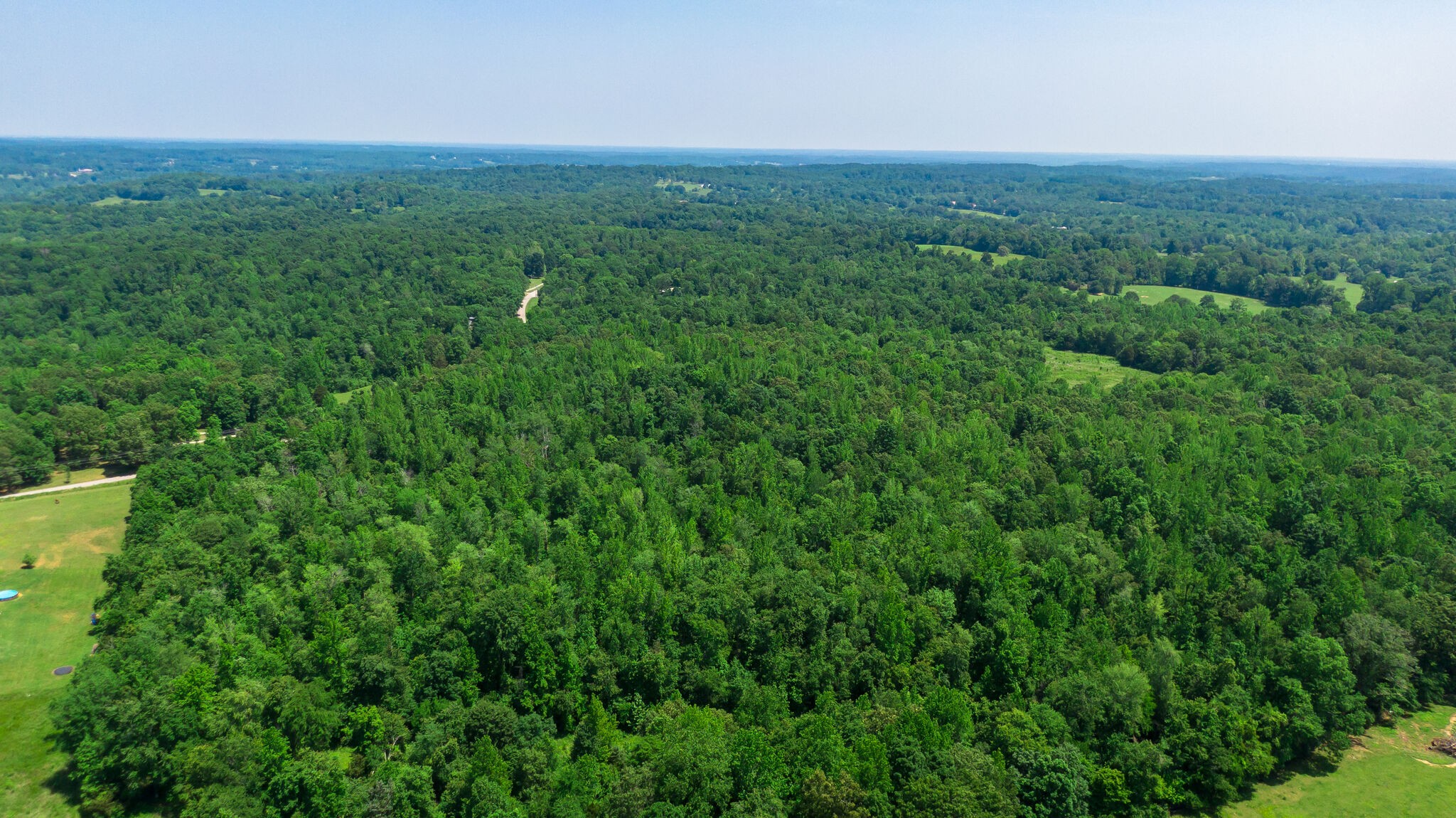 0 Foster Road Cumberland Furnace, TN 37051 - Photo 16 of 30 a view of a field of grass and trees