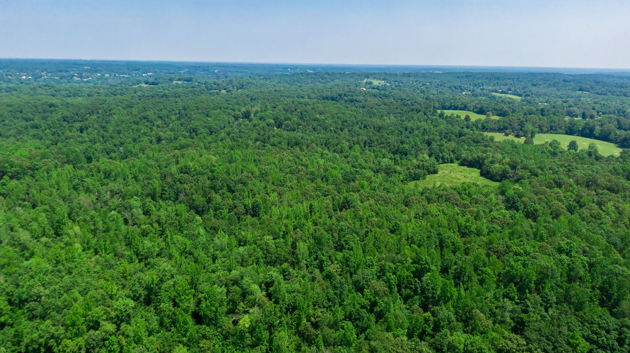 0 Foster Road Cumberland Furnace, TN 37051 - Photo 17 of 30 a view of a field of grass and trees