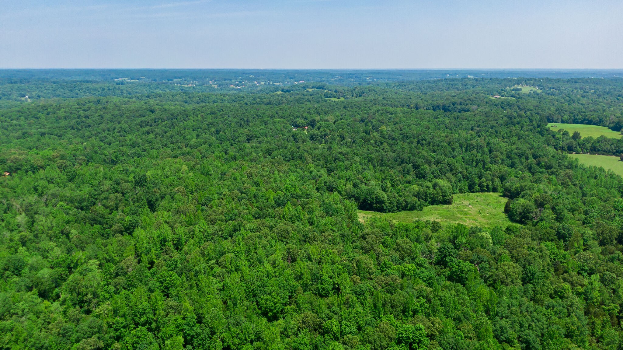 0 Foster Road Cumberland Furnace, TN 37051 - Photo 18 of 30 a view of a lush green space