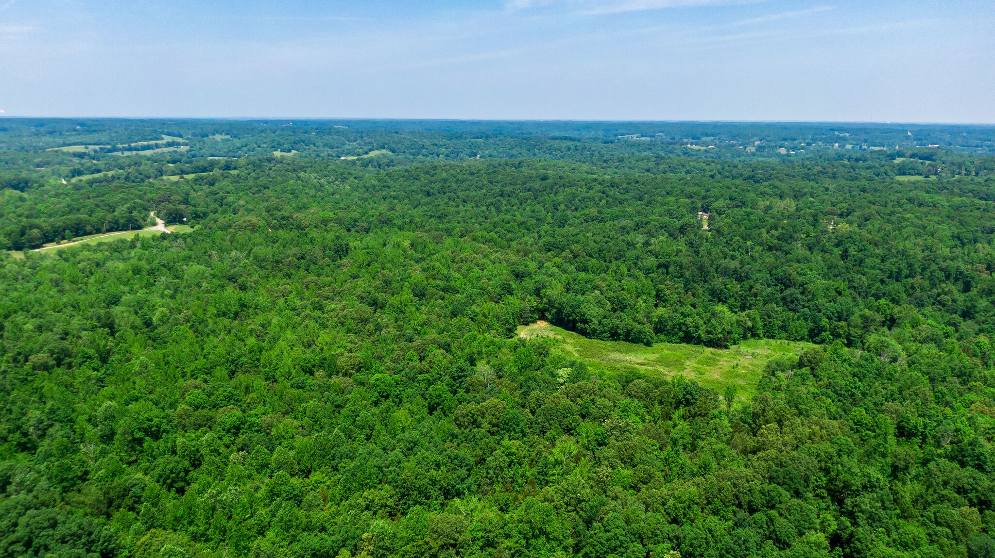 0 Foster Road Cumberland Furnace, TN 37051 - Photo 19 of 30 a view of a green field with lots of bushes