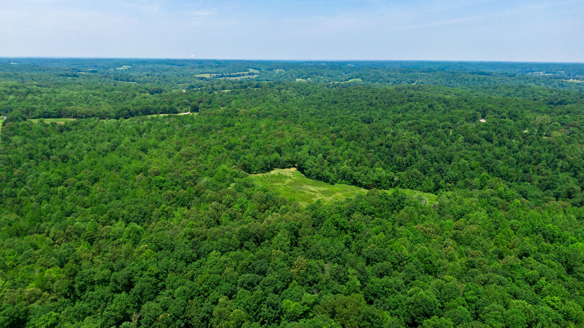 0 Foster Road Cumberland Furnace, TN 37051 - Photo 20 of 30 a view of a green field with lots of bushes