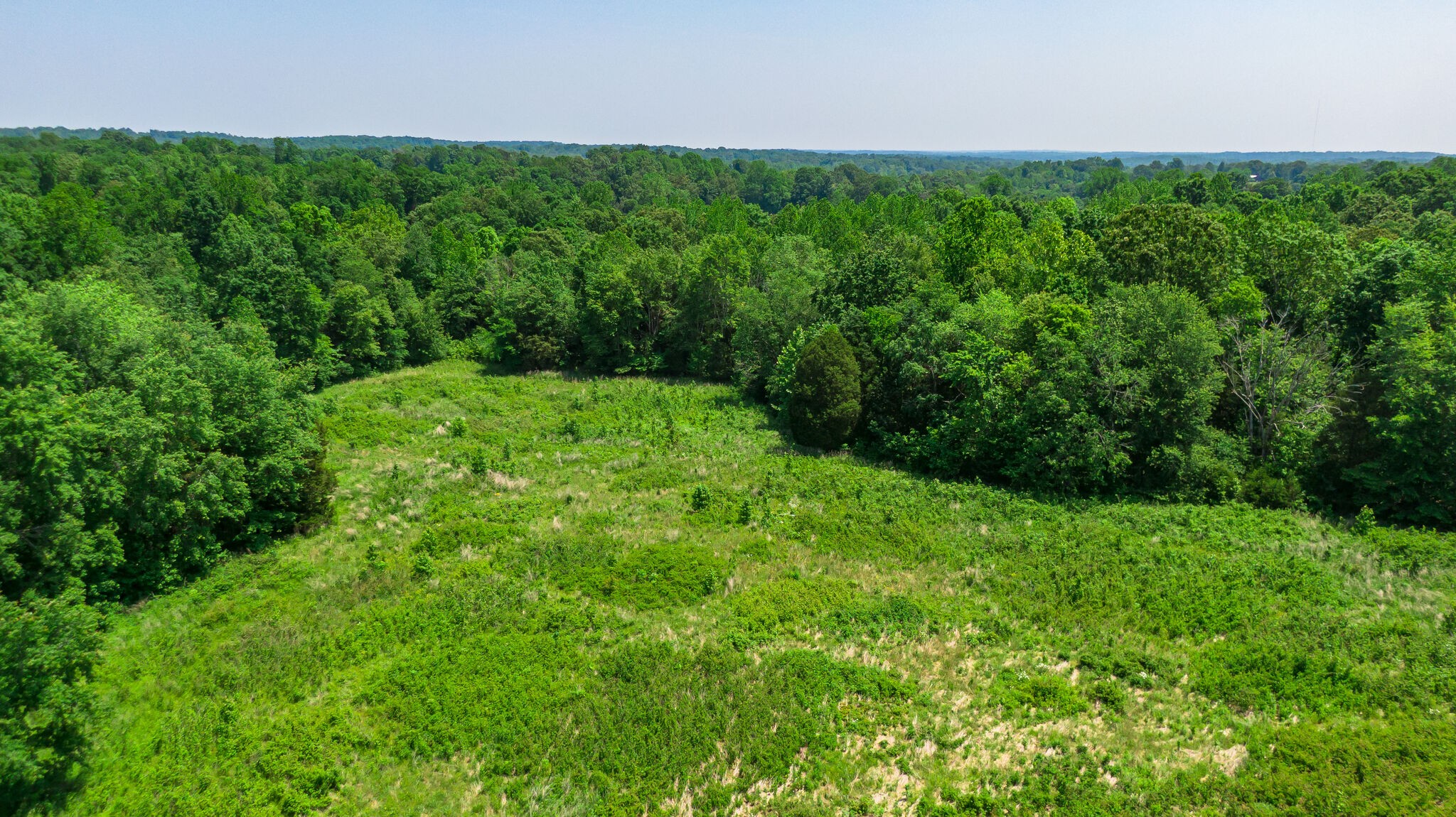 0 Foster Road Cumberland Furnace, TN 37051 - Photo 2 of 30 a view of a yard