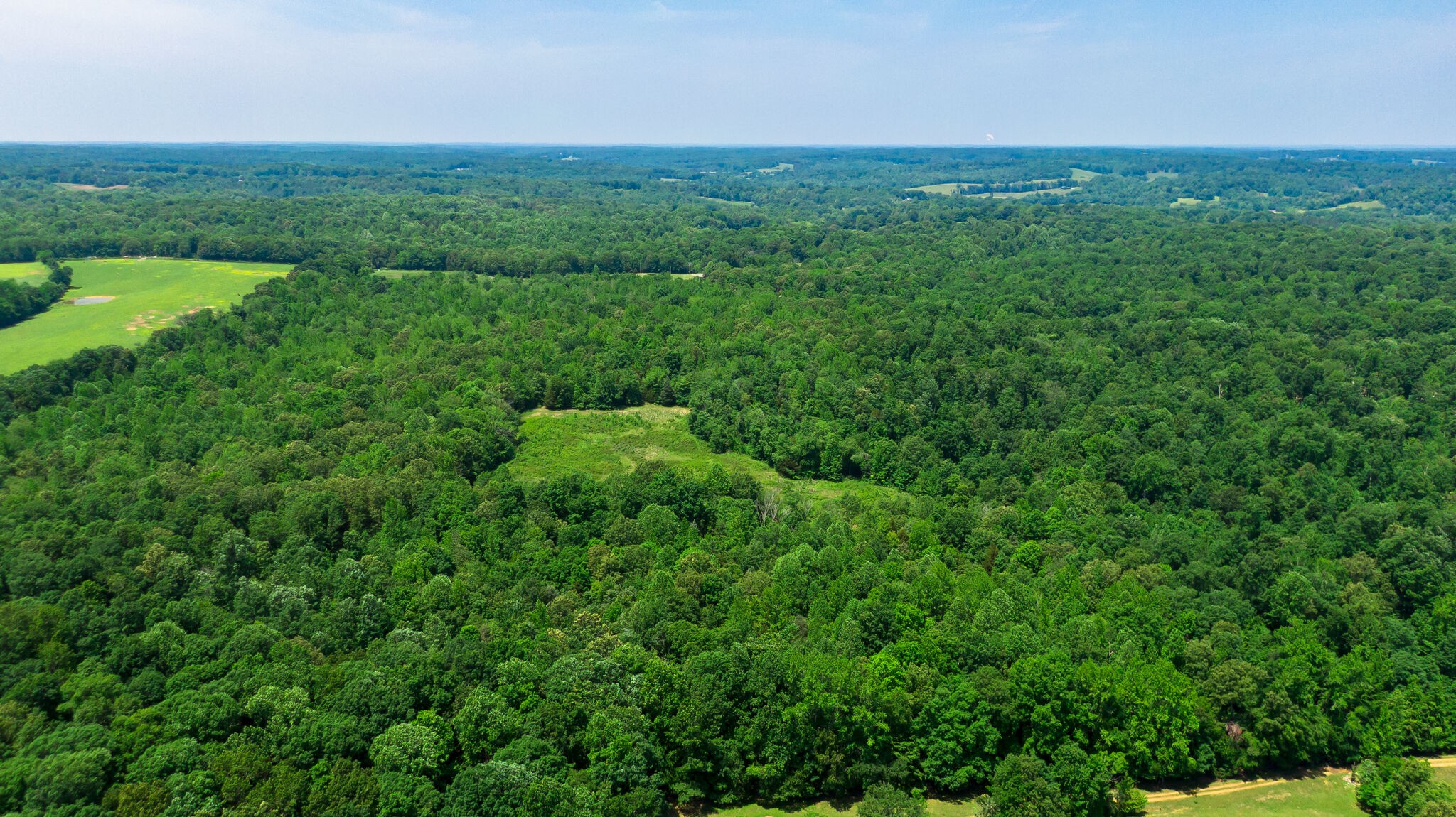 0 Foster Road Cumberland Furnace, TN 37051 - Photo 21 of 30 an aerial view of green landscape with trees houses and mountain view