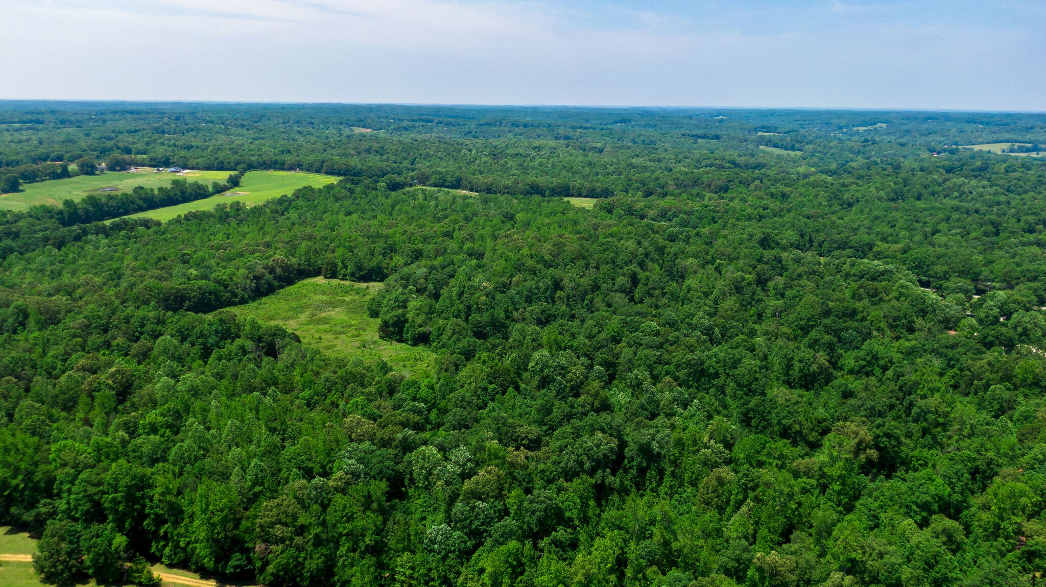 0 Foster Road Cumberland Furnace, TN 37051 - Photo 22 of 30 an aerial view of green landscape with trees houses and mountain view