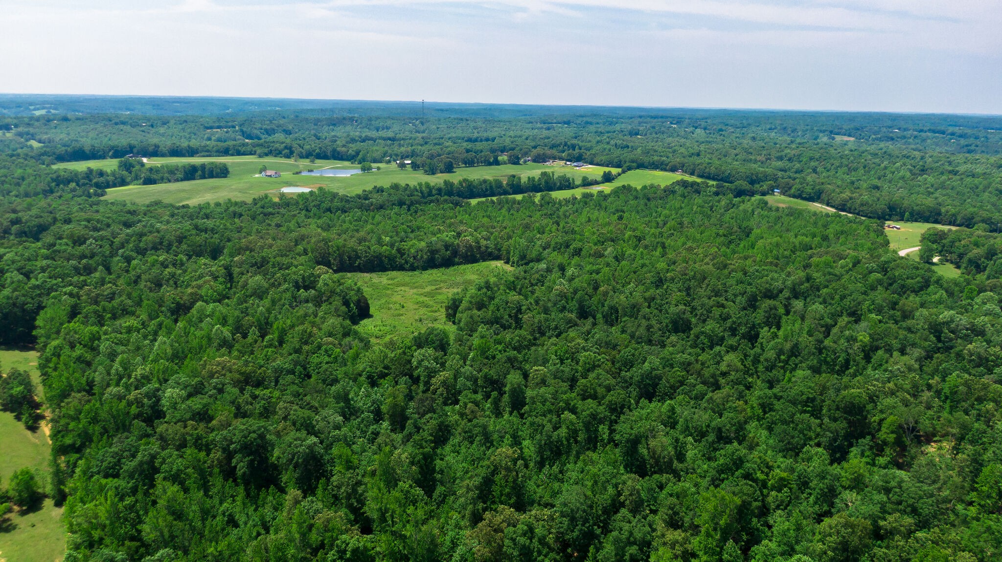 0 Foster Road Cumberland Furnace, TN 37051 - Photo 23 of 30 a view of a green field with lots of bushes