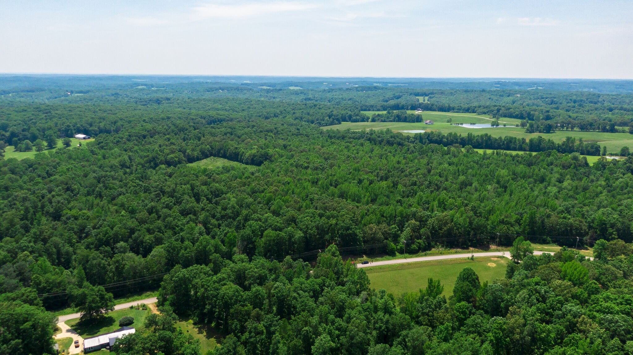 0 Foster Road Cumberland Furnace, TN 37051 - Photo 26 of 30 a view of a lush green space with sea