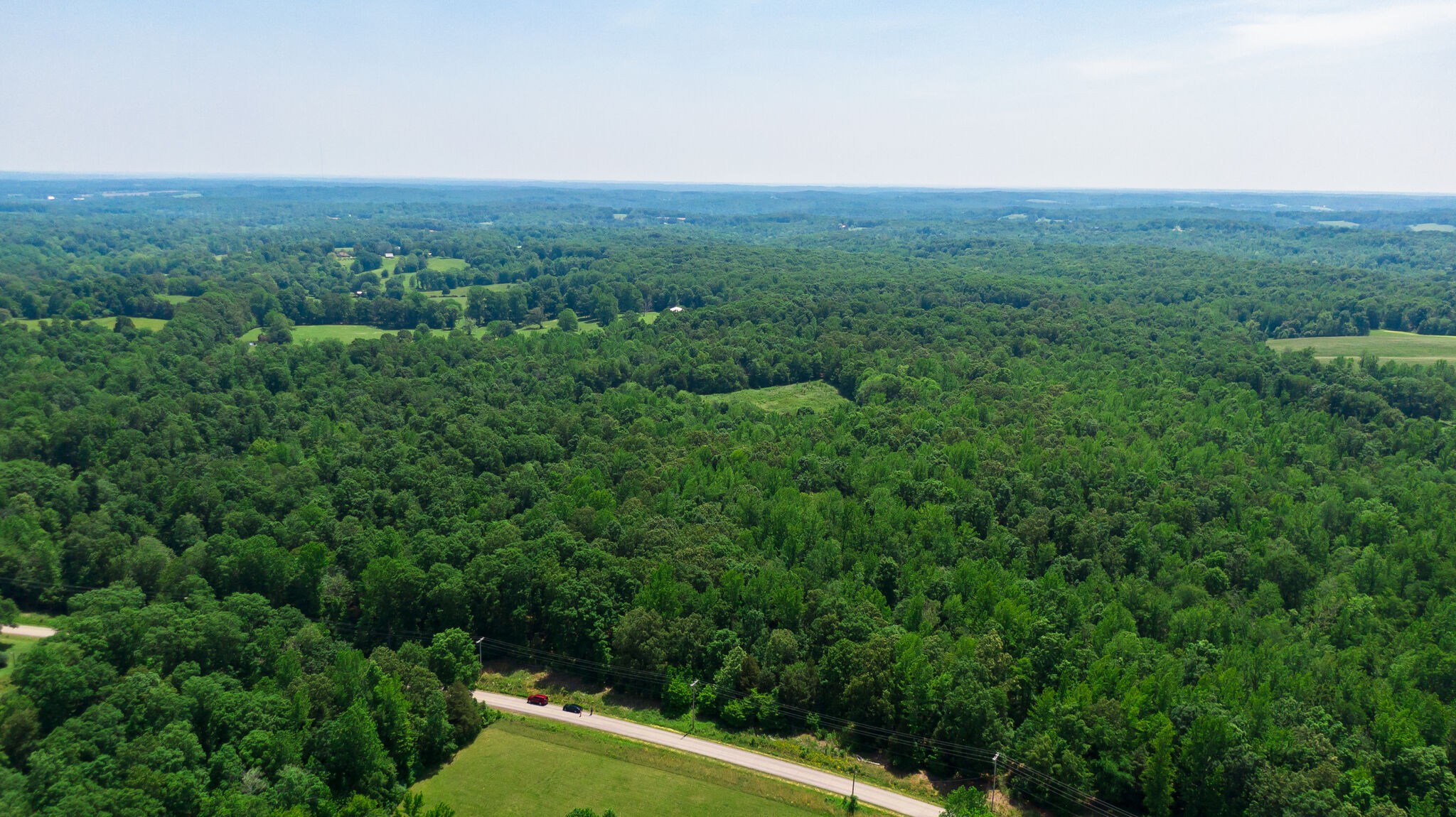 0 Foster Road Cumberland Furnace, TN 37051 - Photo 27 of 30 a view of a green field with lots of bushes
