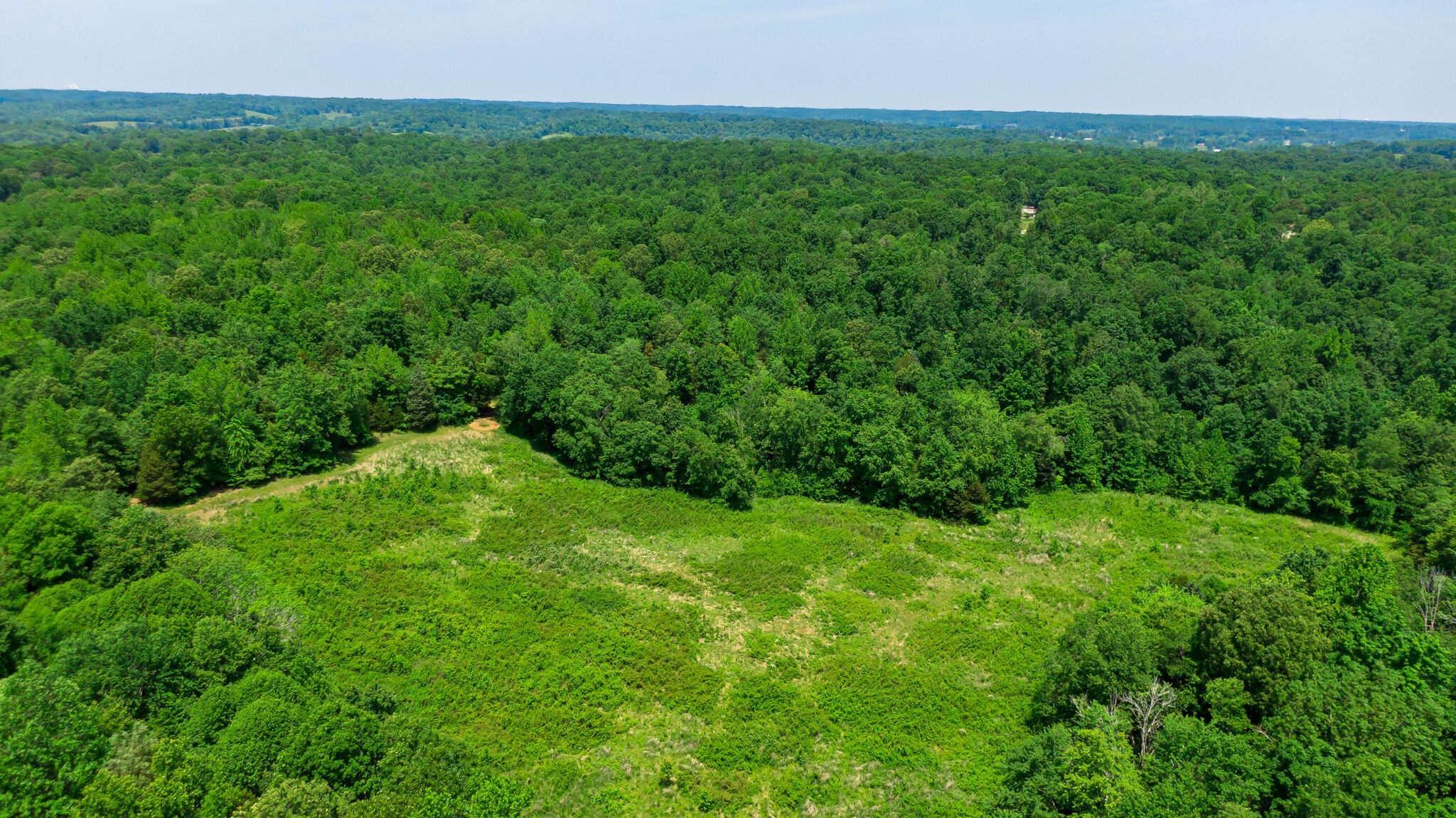 0 Foster Road Cumberland Furnace, TN 37051 - Photo 29 of 30 a view of a lush green space