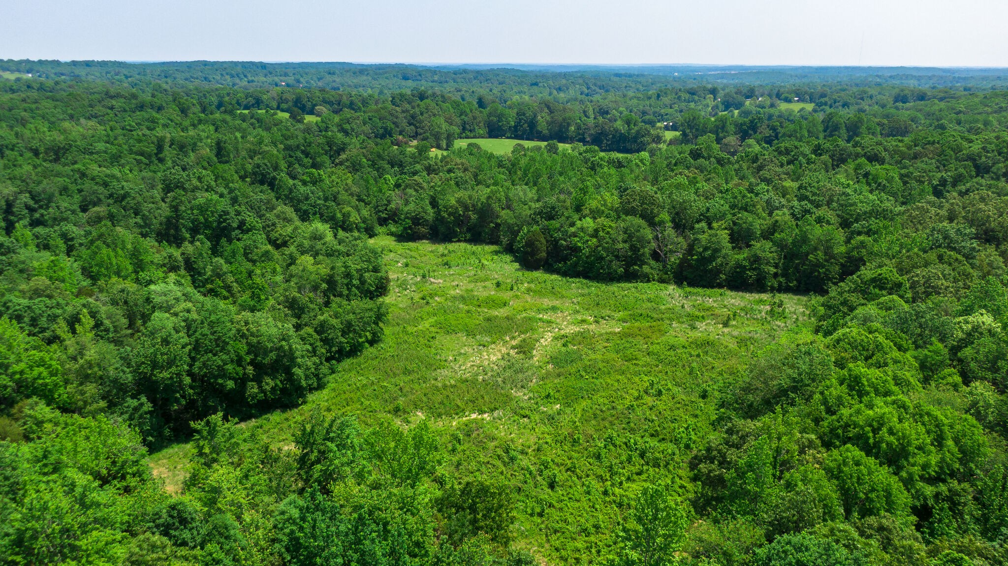 0 Foster Road Cumberland Furnace, TN 37051 - Photo 3 of 30 a view of a lush green space