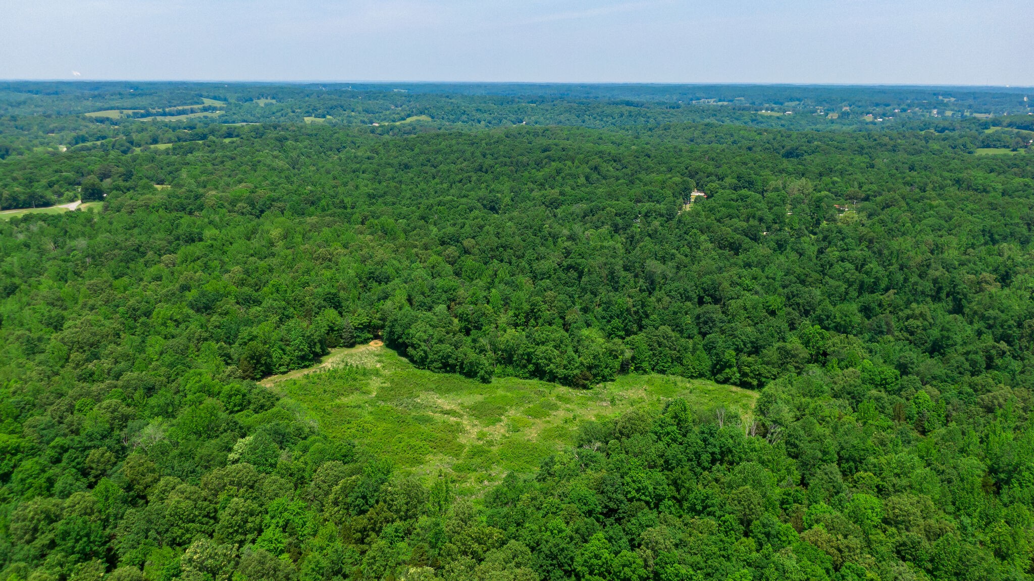 0 Foster Road Cumberland Furnace, TN 37051 - Photo 4 of 30 a view of a big yard with a house in the background