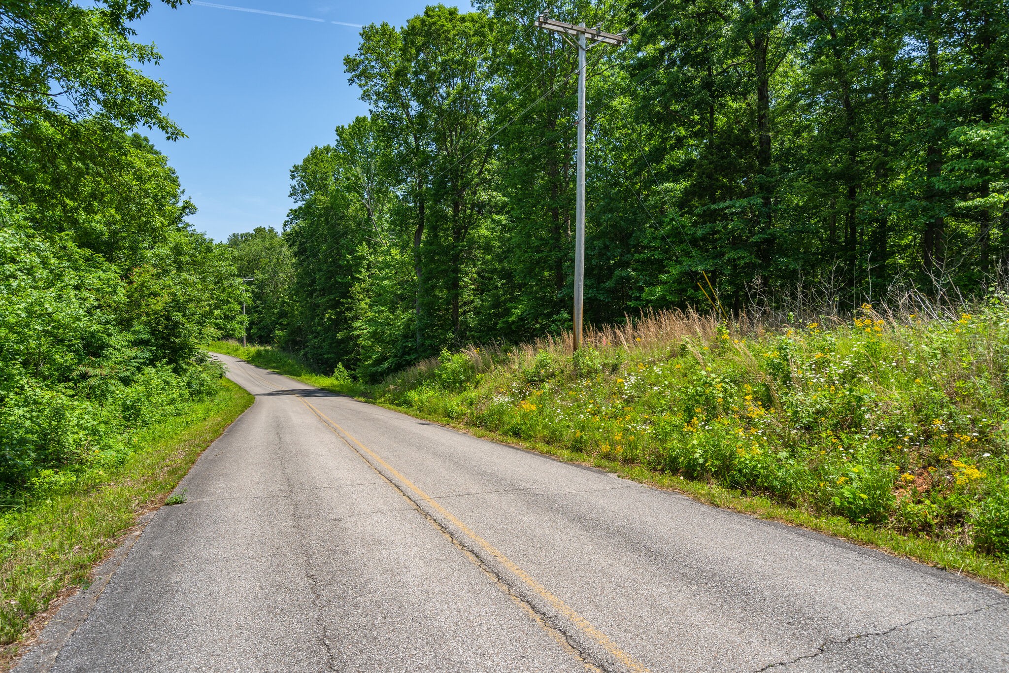 0 Foster Road Cumberland Furnace, TN 37051 - Photo 5 of 30 a view of a garden