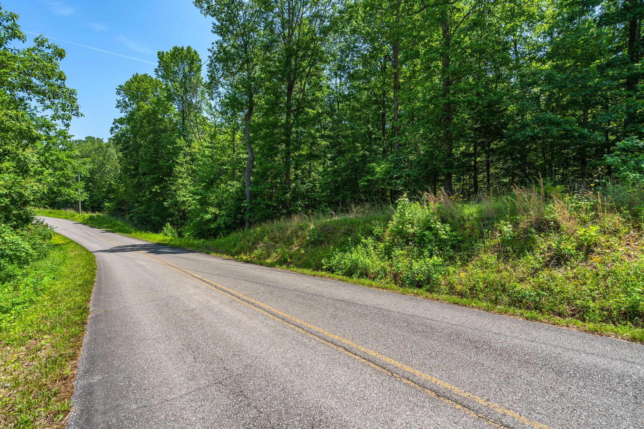 0 Foster Road Cumberland Furnace, TN 37051 - Photo 6 of 30 a view of a garden