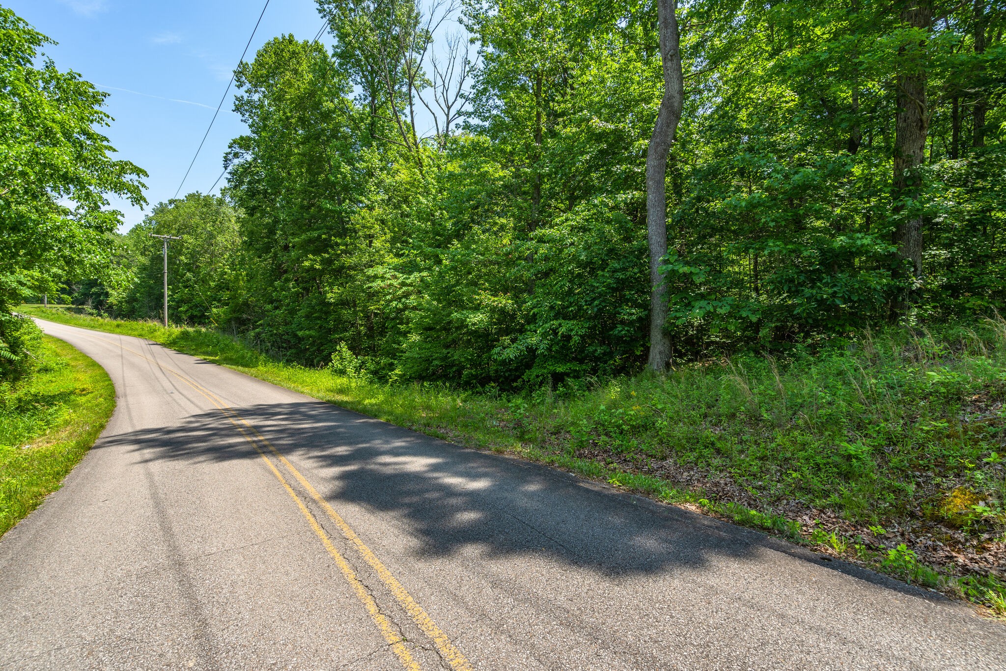 0 Foster Road Cumberland Furnace, TN 37051 - Photo 8 of 30 a view of street