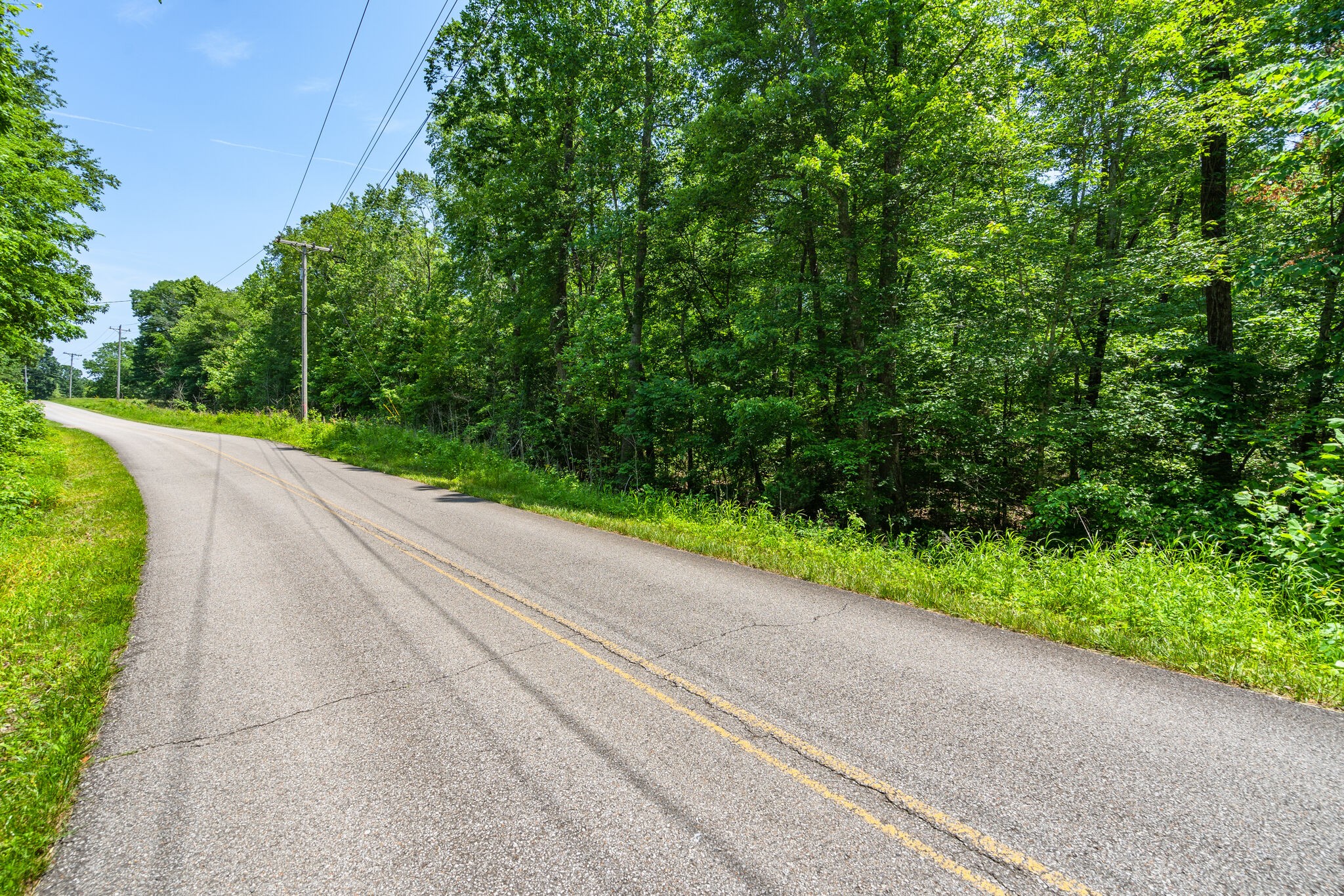 0 Foster Road Cumberland Furnace, TN 37051 - Photo 9 of 30 a view of a garden