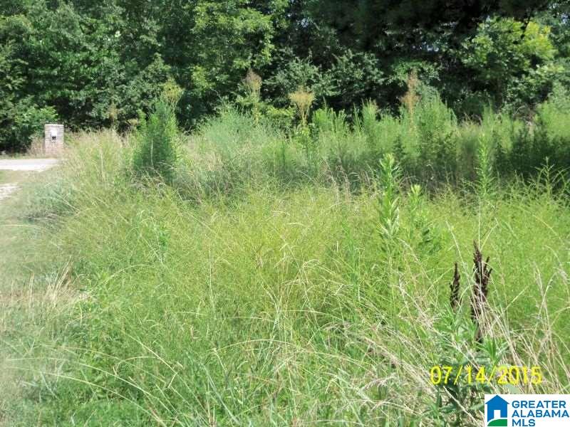 1825 Old Choccolocco Road Anniston, AL 36207 - Photo 21 of 22
