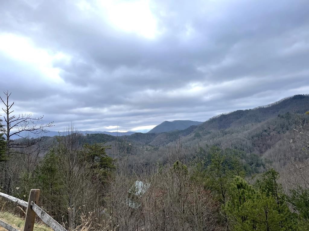 30 Ridgeback Lane Sevierville, TN 37862 - Photo 3 of 34