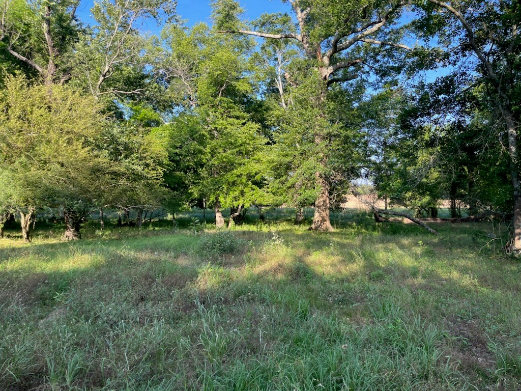 3161 Cedar Springs Road Ashford, AL 36312 - Photo 14 of 16