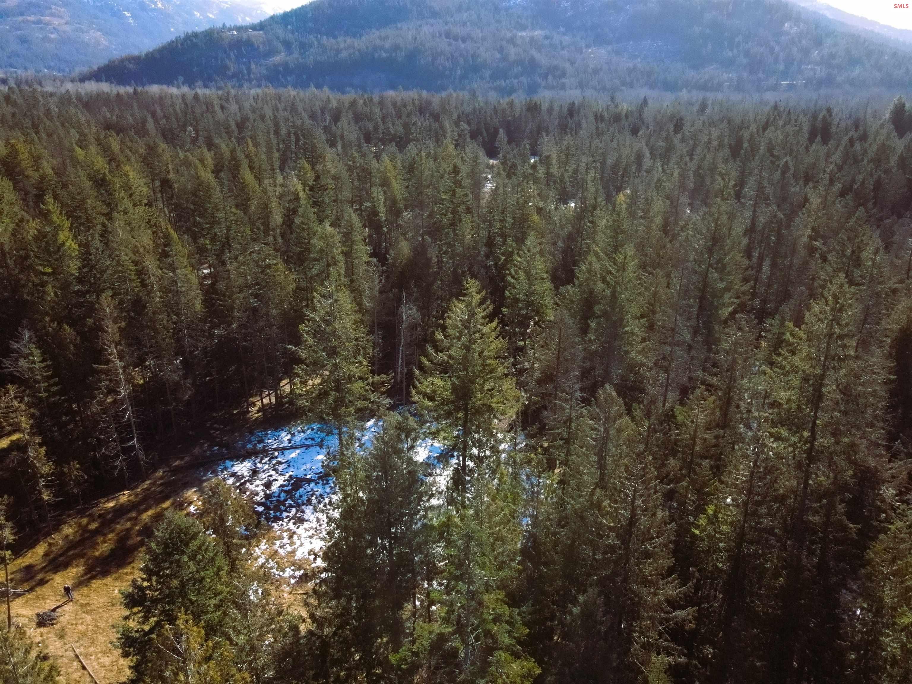 Nna East Spring Creek Road Clark Fork, ID 83811 - Photo 6 of 12