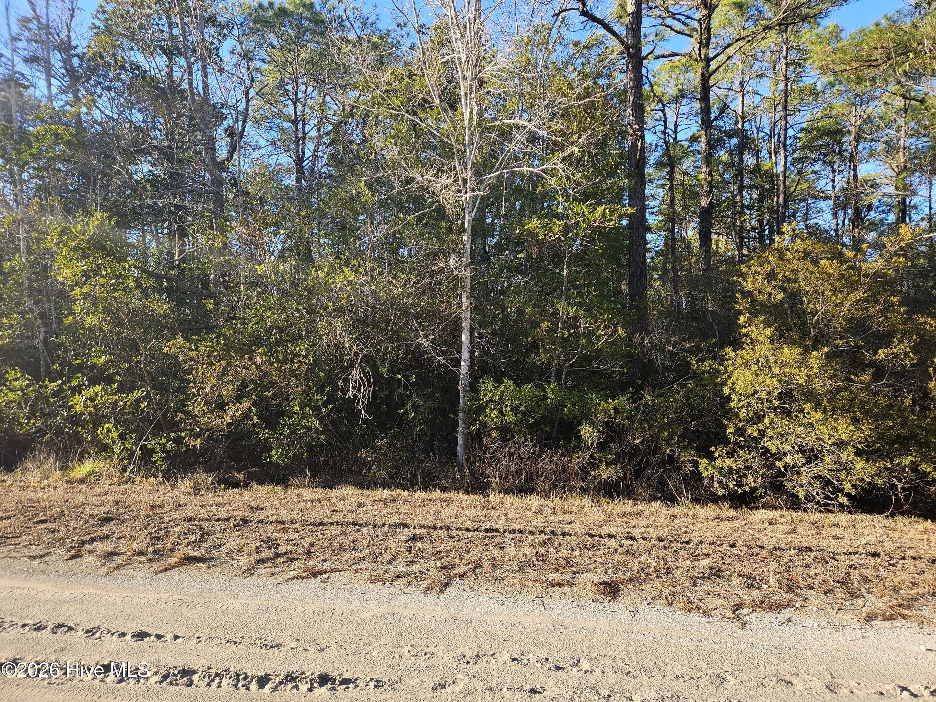 Lot 67 New Hanover Road Southport, NC 28461 - Photo 3 of 11 exterior lot pic2