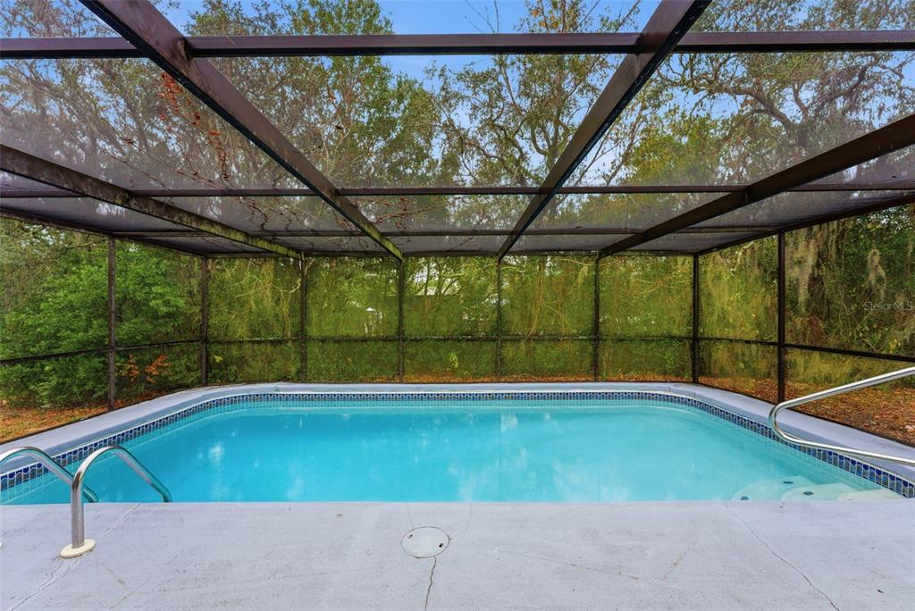 6211 Lorraine Lane Spring Hill, FL 34608 - Photo 25 of 28 a view of a swimming pool