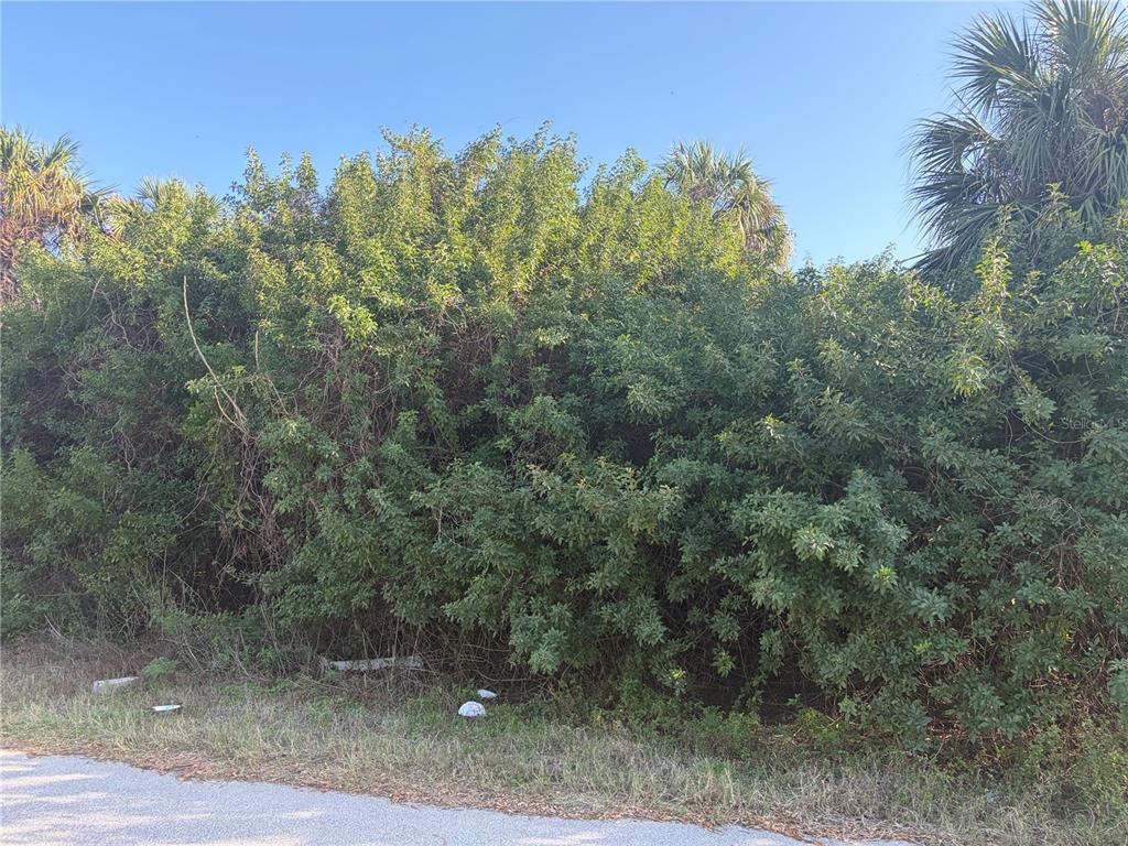 14491 Ransom Avenue Port Charlotte, FL 33953 - Photo 2 of 3 a view of a forest with trees in the background