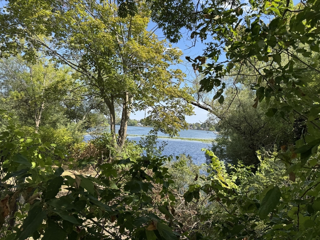 100 Magnolia Avenue, Unit 5 Lynn, MA 01904 - Photo 15 of 16 a view of a garden
