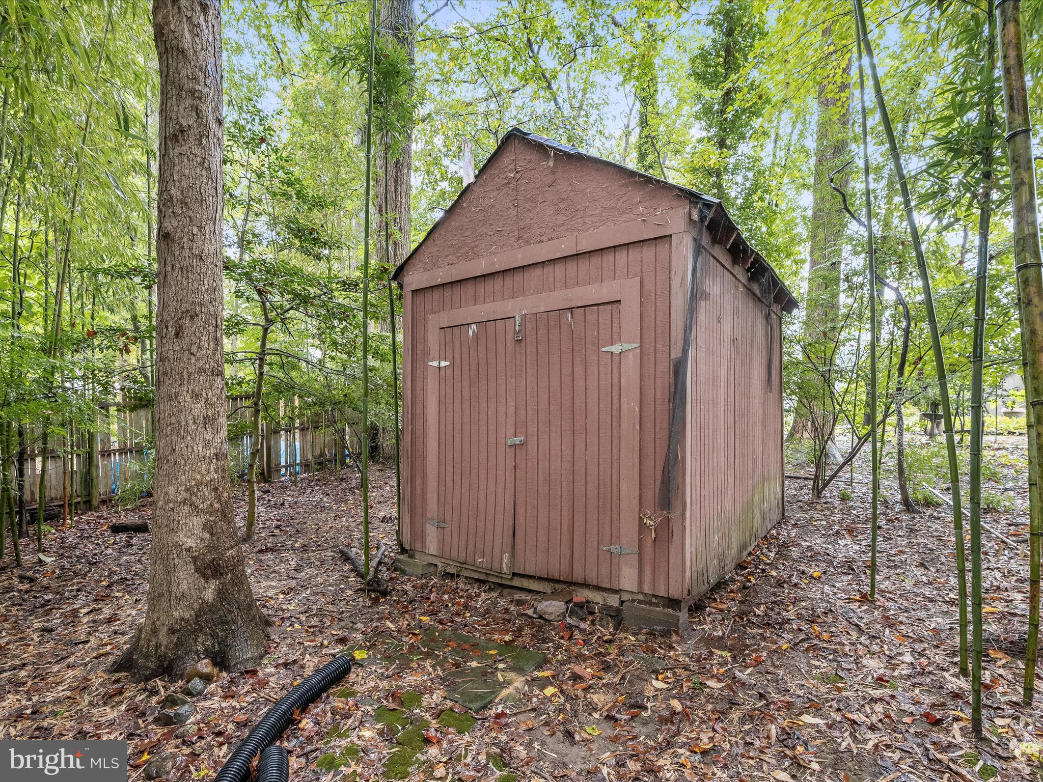 16010 Jerald Road Laurel, MD 20707 - Photo 35 of 42 Storage