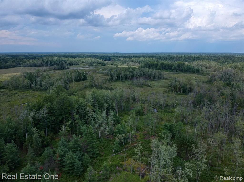 0 South Morrison Road West Branch, MI 48661 - Photo 38 of 38