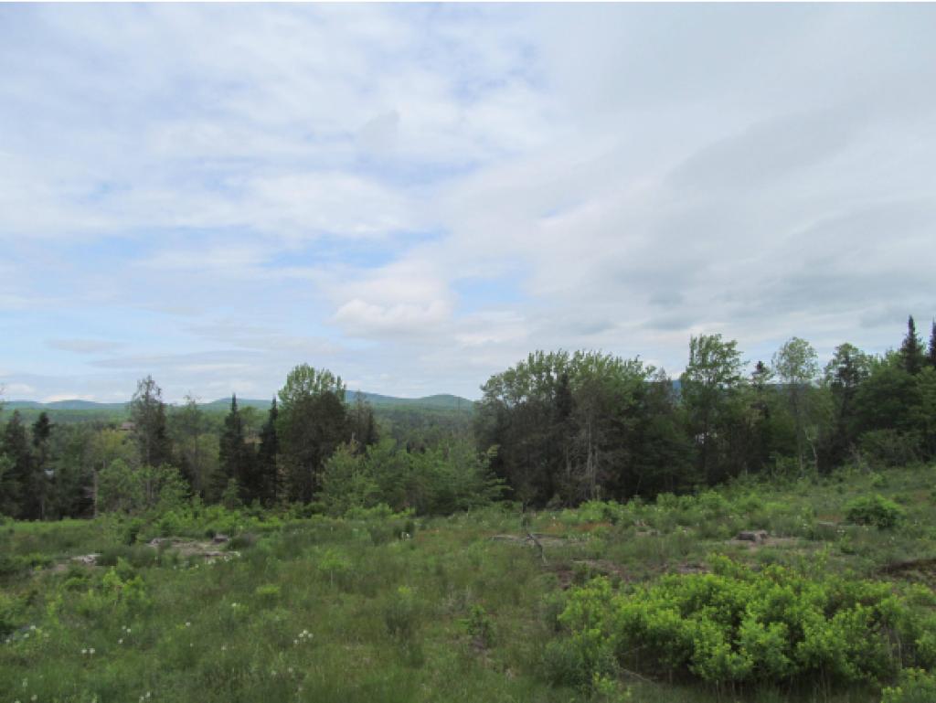 179 Sparhawk Road Greensboro, VT 05842 - Photo 19 of 22
