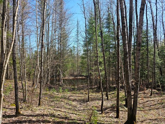 3614 West Nathan Pass Mercer, WI 54547 - Photo 11 of 25 Gallery Image 11