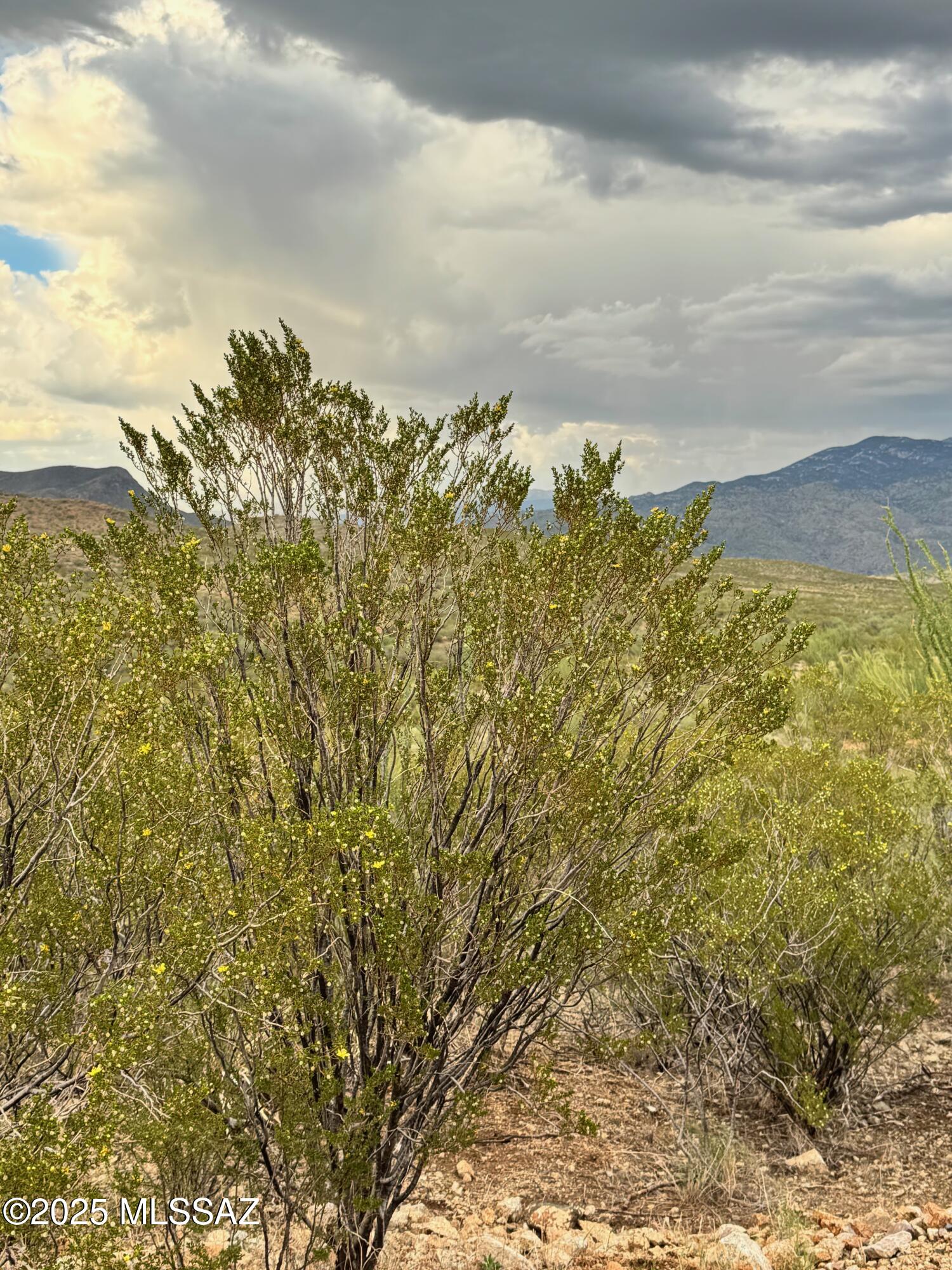0 Justa Road Vail, AZ 85641 - Photo 24 of 44